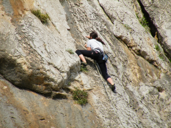 30017June102009_1__1.jpg