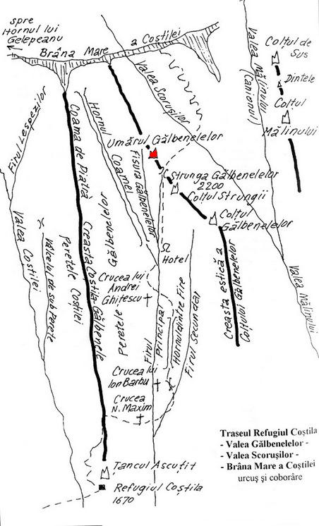 fig19_1_.jpg