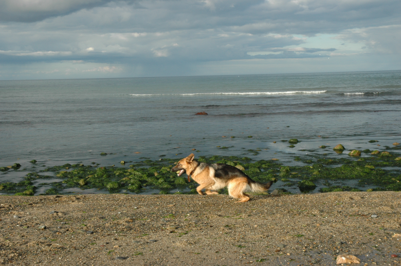 DSC_0377_1.JPG