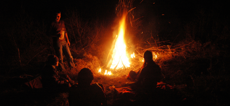 Foc_in_Tabachka_1.JPG