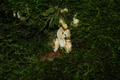 DSC_0519_1.JPG