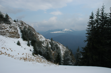 DSC_0534_1.JPG