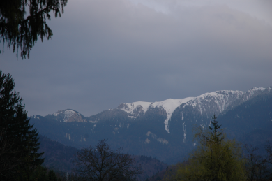 DSC_0586_1_1.JPG